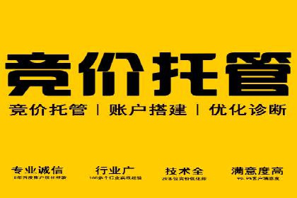 SEM托管服务，成功案例见证转化奇迹